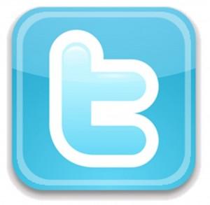 twitter logo - Простой плагин для Твиттера