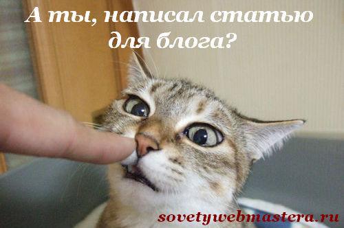 Пишем статью для блога. А зачем? Пишем статью для блога