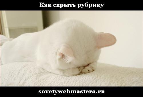 Как скрыть анонсы рубрики с главной страницы WordPress Как скрыть рубрику